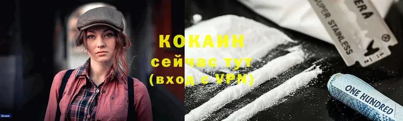 Кокаин Эквадор Жуков