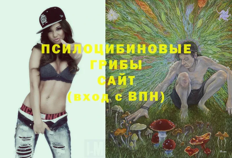 Галлюциногенные грибы Psilocybine cubensis Жуков